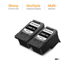 Canon 245XL PG-245XL Remanufactured Ink Cartridge (2 Black)