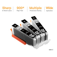 Canon CLI-251XL CLI 251 XL Compatible Ink Cartridge (3 Gray)